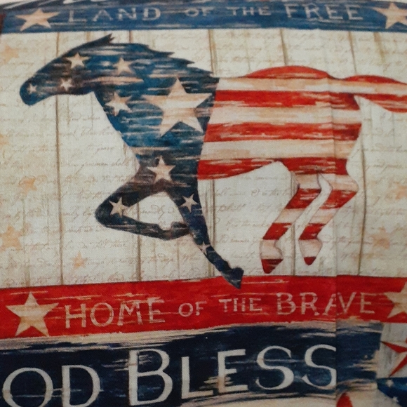 (2) Patriotic Home of the Brave Accent Pillows - Picture 4 of 5